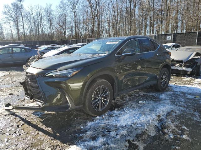 Obraz 2022 LEXUS NX 350 2022