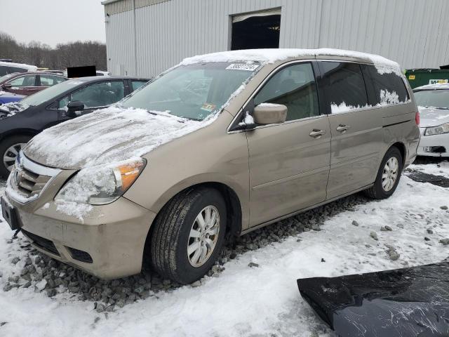 2009 HONDA ODYSSEY EXL 2009 image