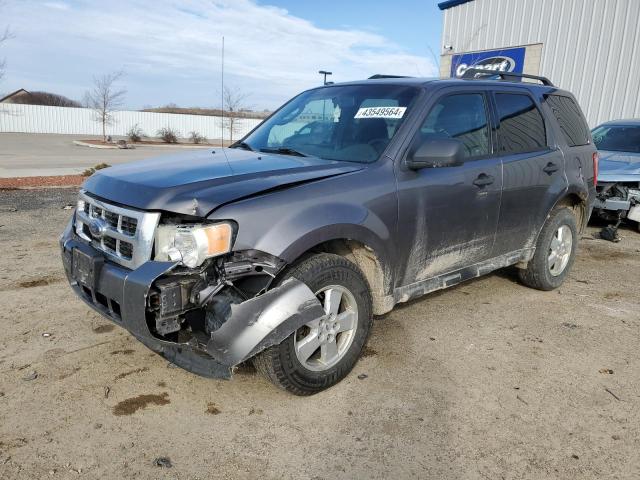 Obraz 2009 FORD ESCAPE XLT 2009