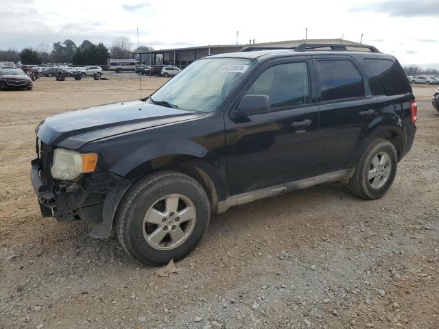 2009 FORD ESCAPE XLT 2009 image