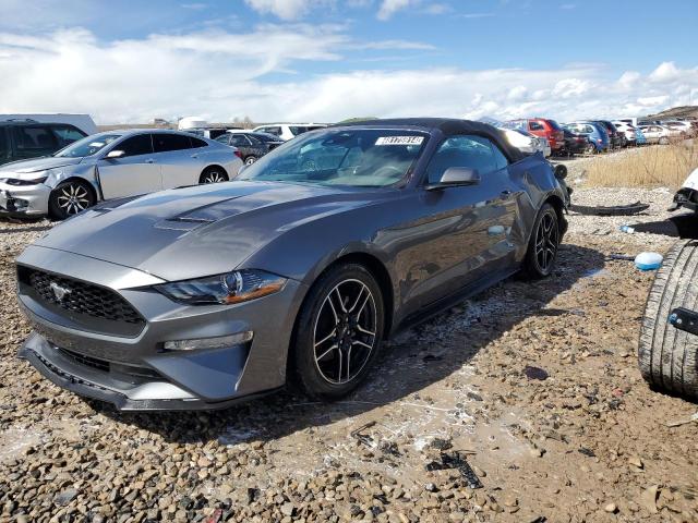 2021 FORD MUSTANG  2021 image
