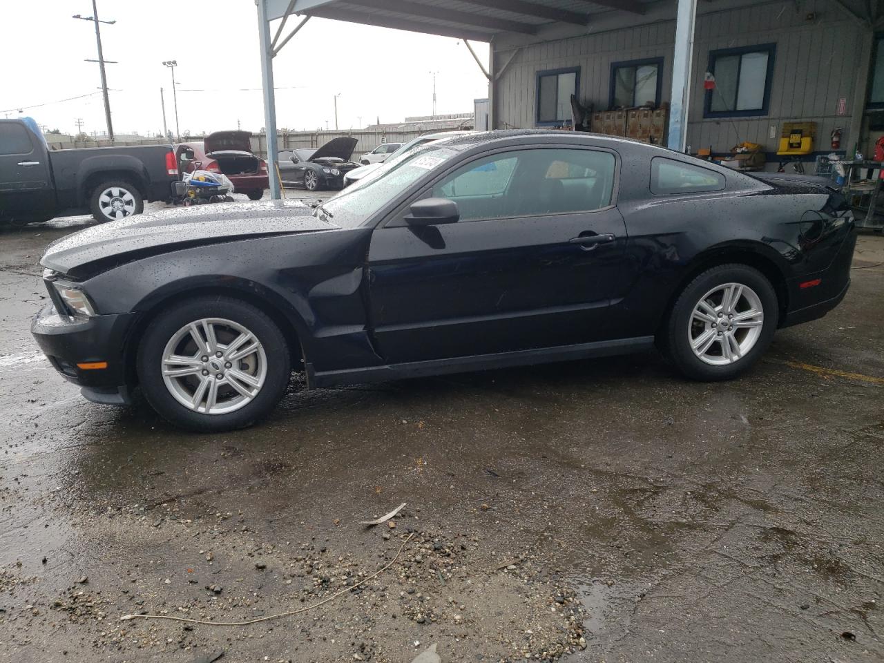 2011 FORD MUSTANG  2011 image