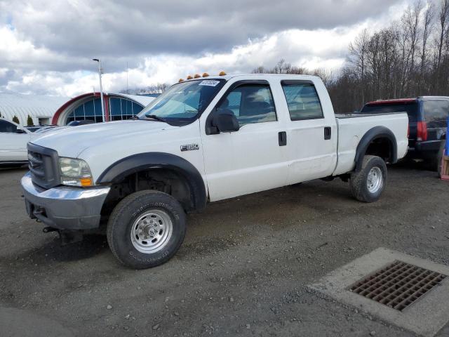 Obraz 2004 FORD F350 SRW SUPER DUTY 2004