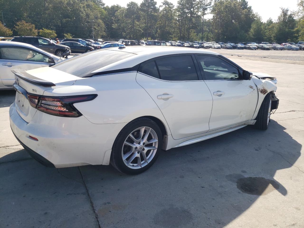 Image 3 of 2019 NISSAN MAXIMA S 2019 with VIN 1N4AA6AV3KC366475