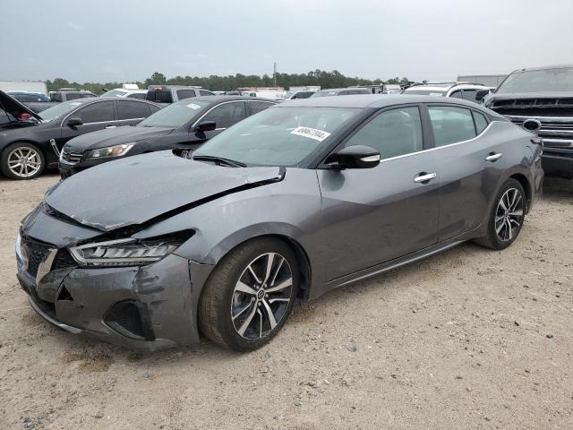 2023 NISSAN MAXIMA SV 2023 image