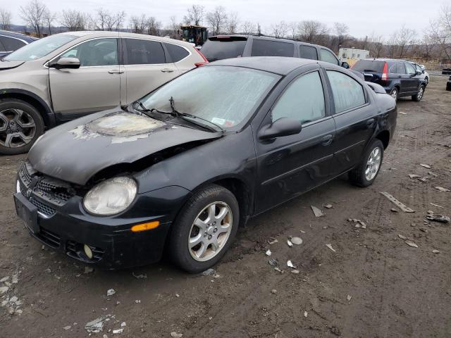 2004 DODGE NEON SXT 2004 image