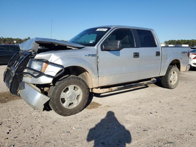 Image 1 of 2010 FORD F-150 SUPERCREW 2010 with VIN 1FTEW1E83AFD19349