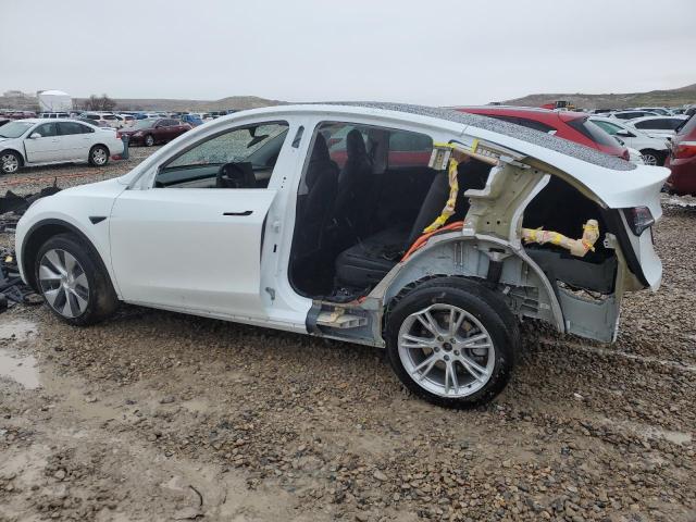 Image 2 of 2023 TESLA MODEL Y  2023 with VIN 7SAYGAEE3PF609249