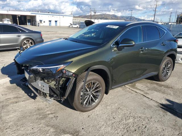 Obraz 2024 LEXUS NX 350H BASE 2024