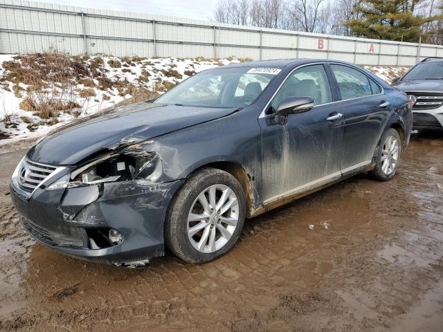 Obraz 2010 LEXUS ES 350 2010