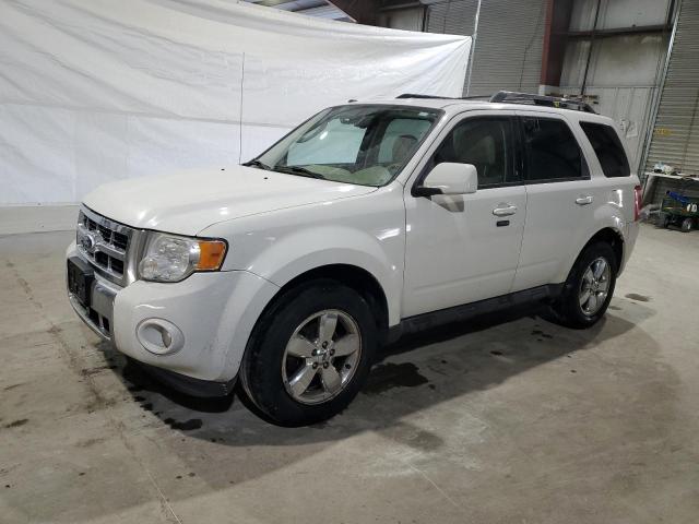 Obraz 2010 FORD ESCAPE LIMITED 2010