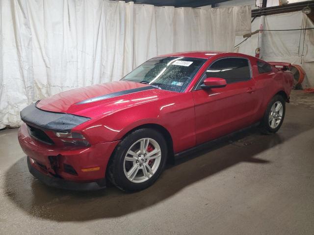 Image 1 of 2011 FORD MUSTANG  2011 with VIN 1ZVBP8AM7B5153207