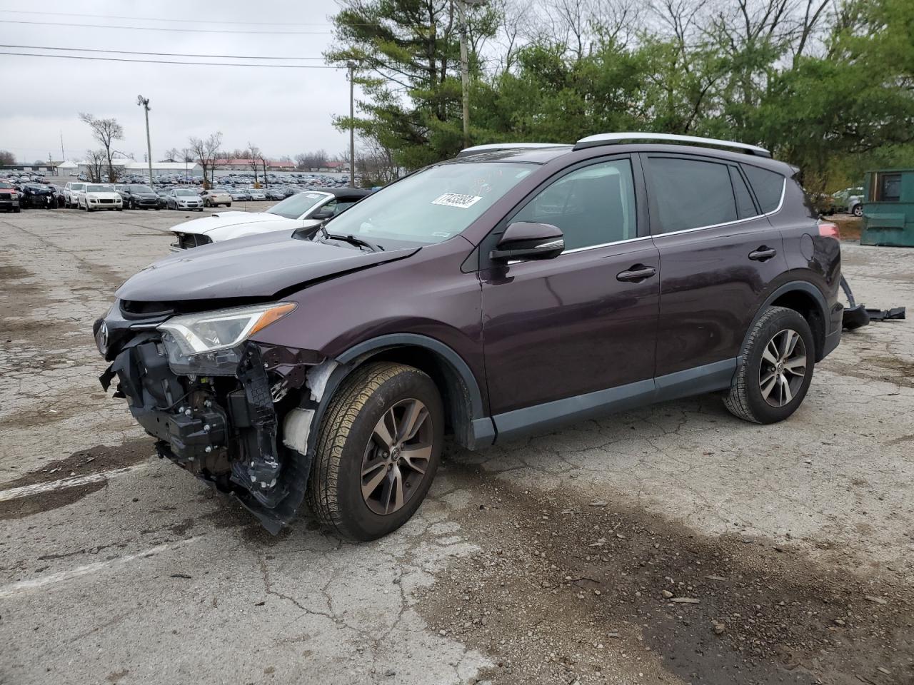 Image 1 of 2016 TOYOTA RAV4 XLE 2016 with VIN 2T3RFREV4GW525874