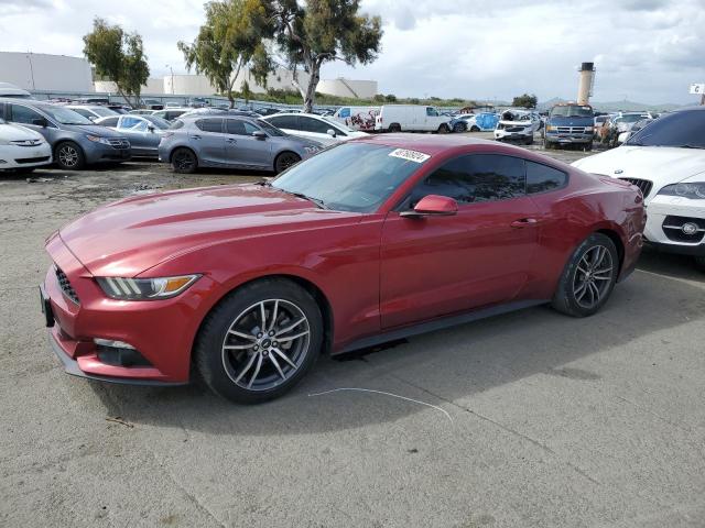 2017 FORD MUSTANG  2017 image