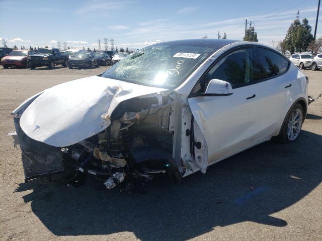 2023 TESLA MODEL Y  2023 image