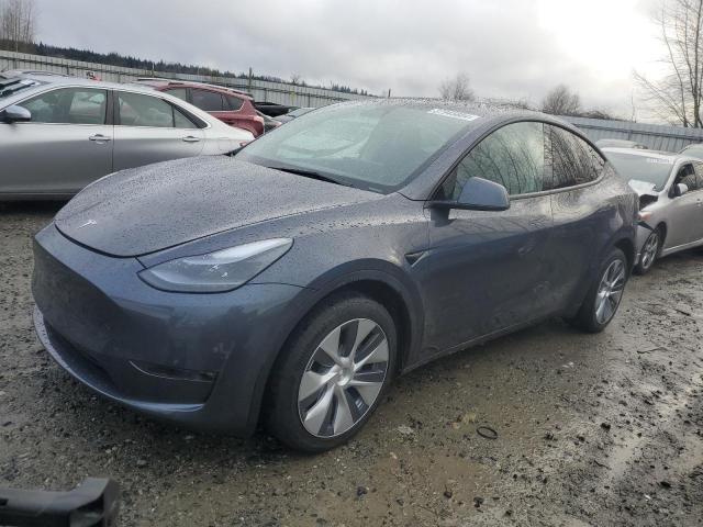 2023 TESLA MODEL Y  2023 image