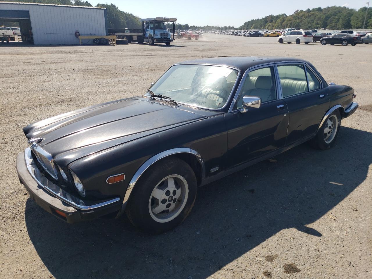 1982 JAGUAR XJ6  1982 image
