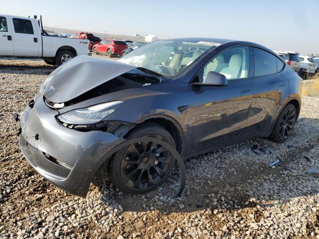 2022 TESLA MODEL Y  2022 image
