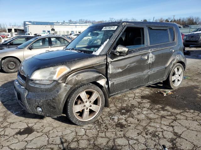 2010 KIA SOUL + 2010 image