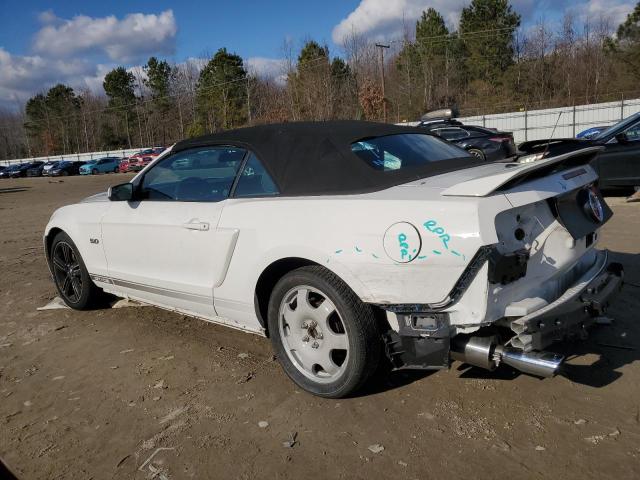 Obraz 2 z 2013 FORD MUSTANG GT 2013 z VIN 1ZVBP8FF2D5207560