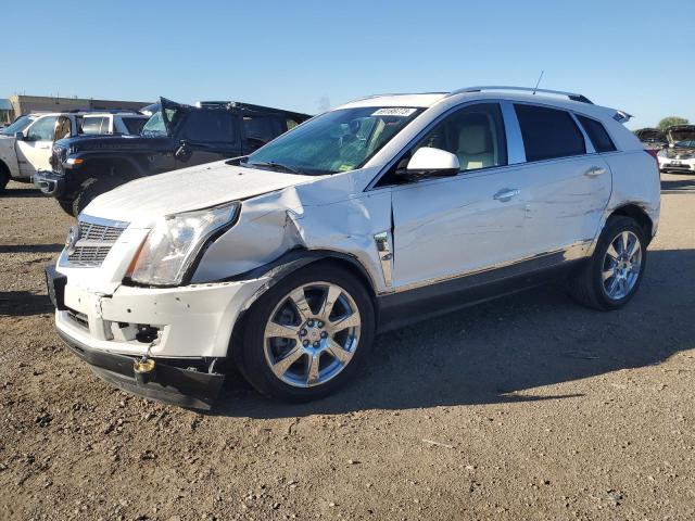 Obraz 2010 CADILLAC SRX PREMIUM COLLECTION 2010