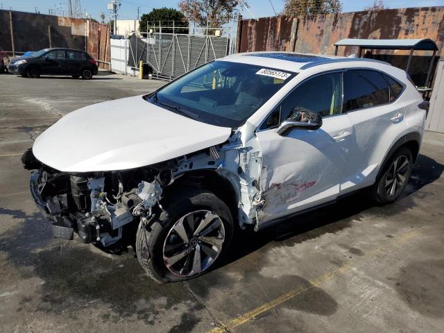 2020 LEXUS NX 300 2020 image