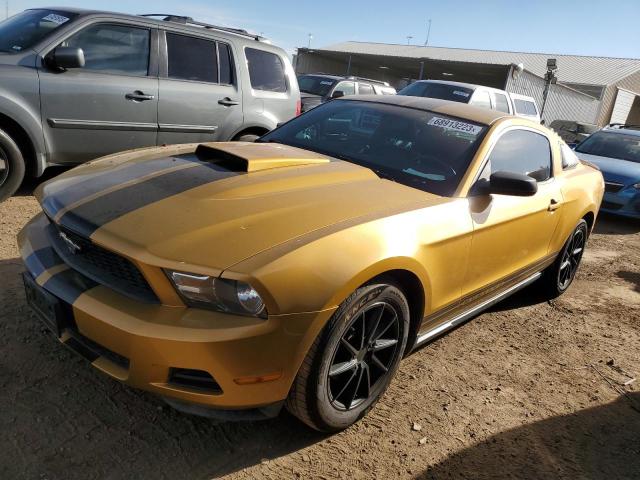 2010 Ford Mustang 2010 image