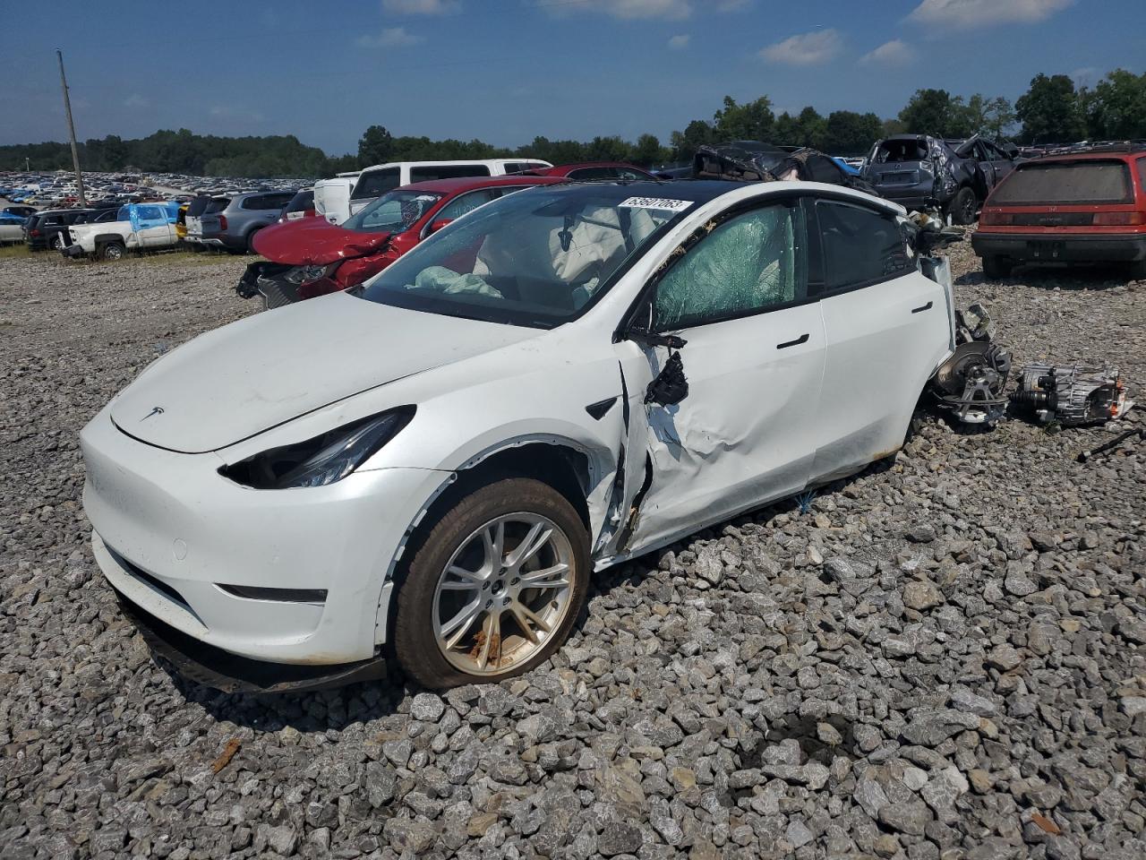 2022 TESLA MODEL Y  2022 image