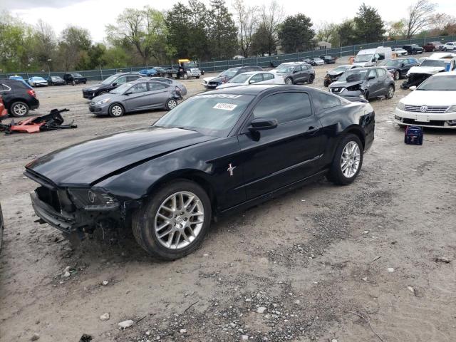 2014 FORD MUSTANG  2014 image