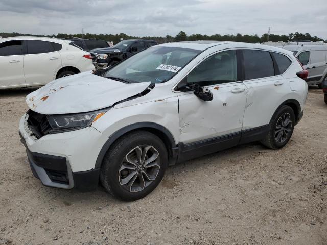 2020 HONDA CR-V EX 2020 image