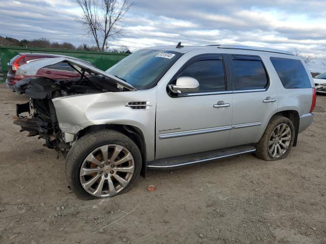 2010 CADILLAC ESCALADE LUXURY 2010 image