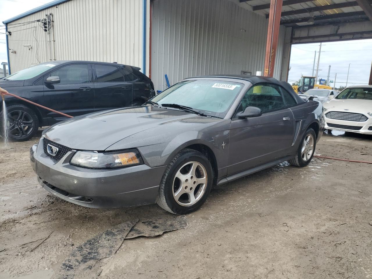 2003 FORD MUSTANG  2003 image