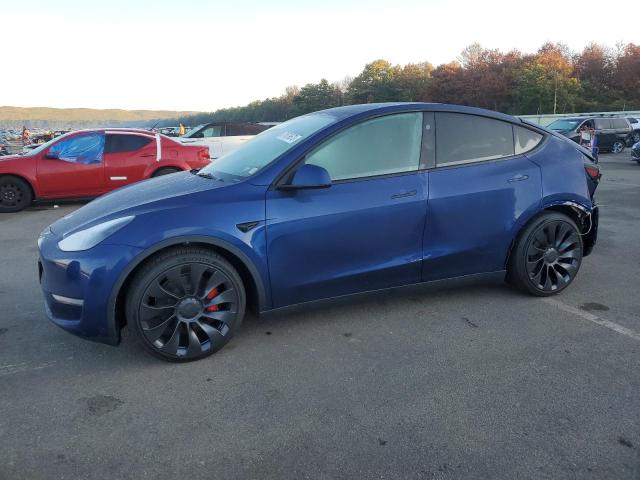 2023 TESLA MODEL Y  2023 image