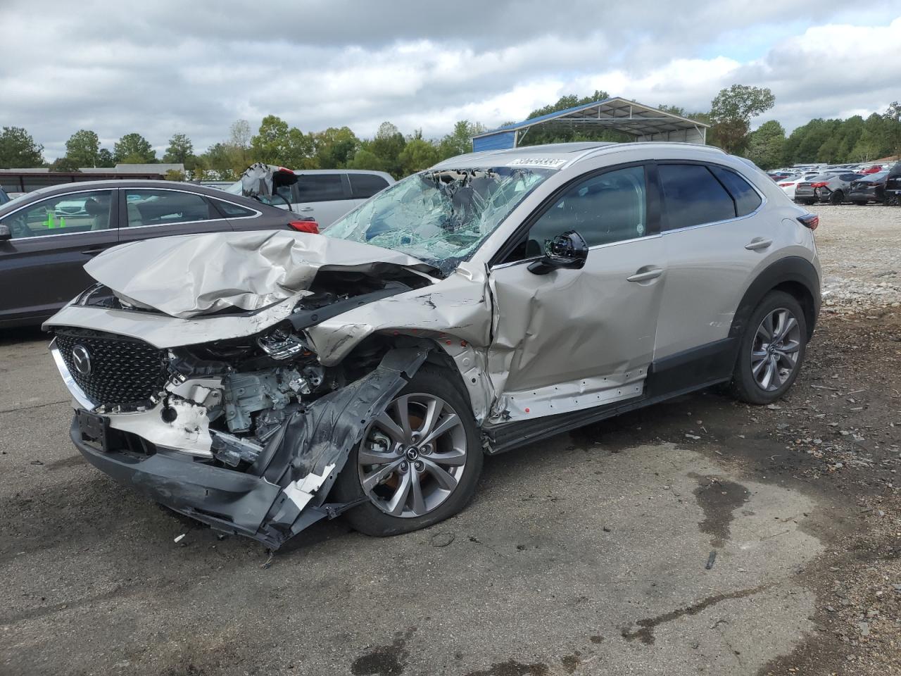 Obraz 1 z 2023 MAZDA CX-30 PREMIUM 2023 z VIN 3MVDMBDM9PM525191