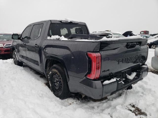 Изображение 2 2022 TOYOTA TUNDRA CREWMAX PLATINUM 2022 с VIN 5TFNA5DB2NX005078