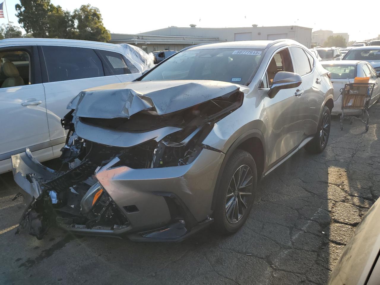 Obraz 2022 LEXUS NX 250 2022