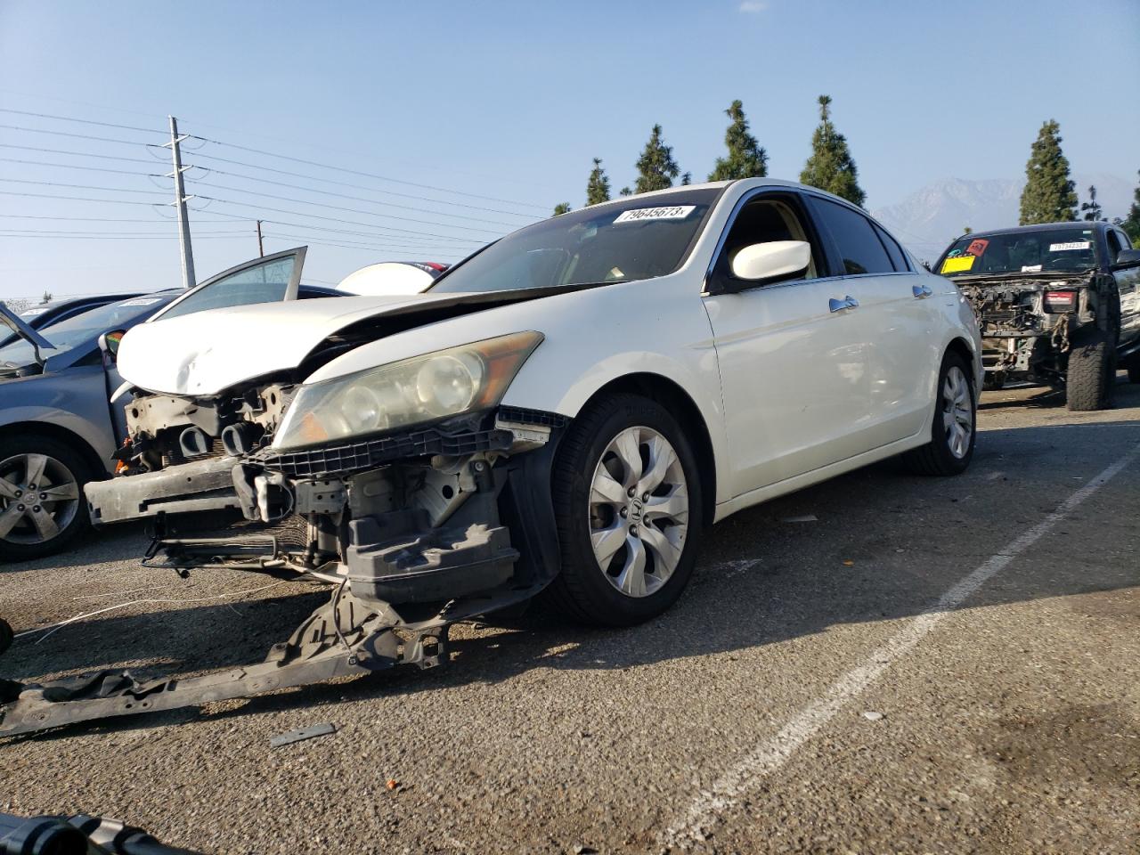 Obraz 2008 HONDA ACCORD EXL 2008