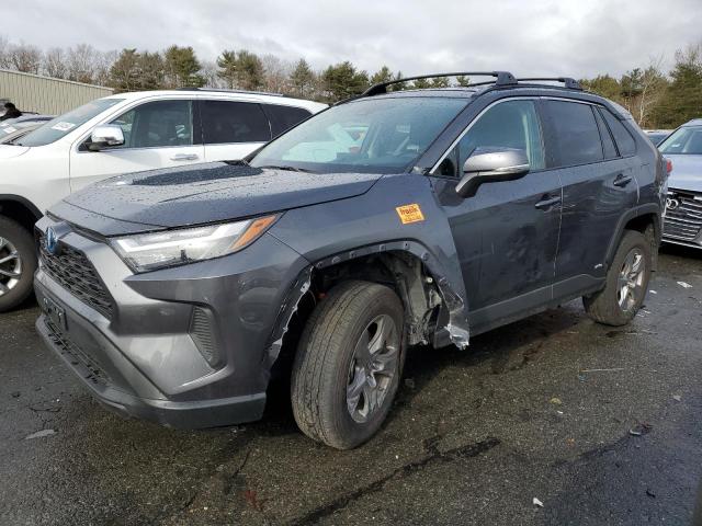 Image 1 of 2024 TOYOTA RAV4 LE 2024 with VIN 2T3MWRFV8RW187455