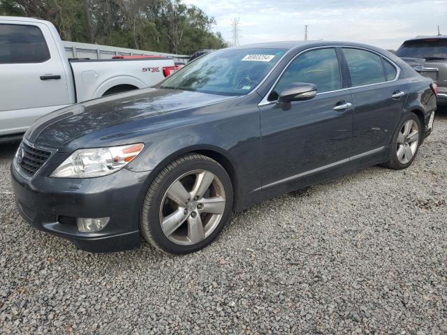 2010 LEXUS LS 460 2010 image