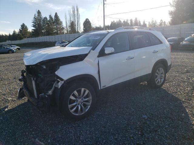2011 KIA SORENTO EX 2011 image