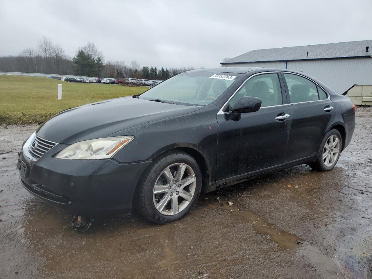 2007 LEXUS ES 350 2007 image