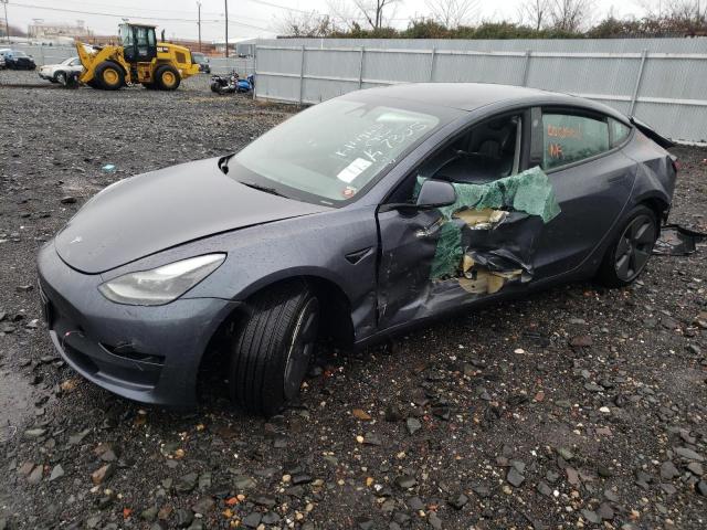 2023 TESLA MODEL 3  2023 image