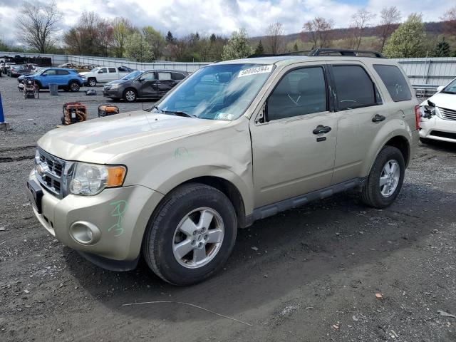 2012 FORD ESCAPE XLT 2012 image