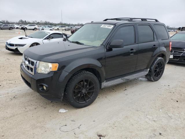 2011 FORD ESCAPE XLT 2011 image