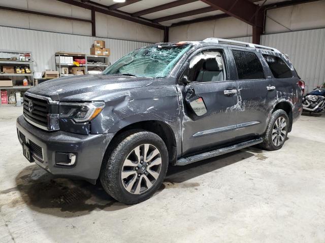 Изображение 1 2019 TOYOTA SEQUOIA LIMITED 2019 с VIN 5TDJY5G15KS166491