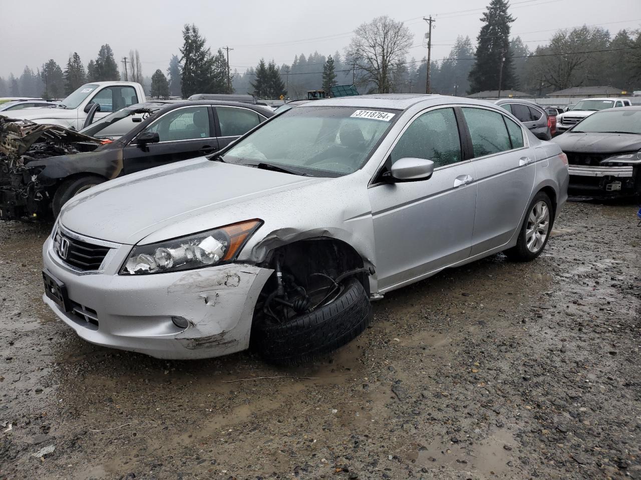 Изображение 1 2010 HONDA ACCORD EXL 2010 с VIN 1HGCP3F85AA000175