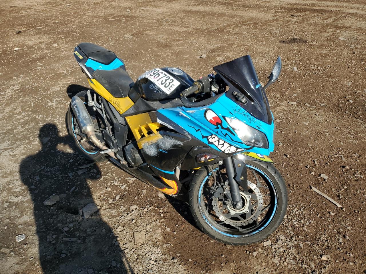 Obraz 1 z 2014 KAWASAKI EX300 B 2014 z VIN JKAEX8B10EA003191