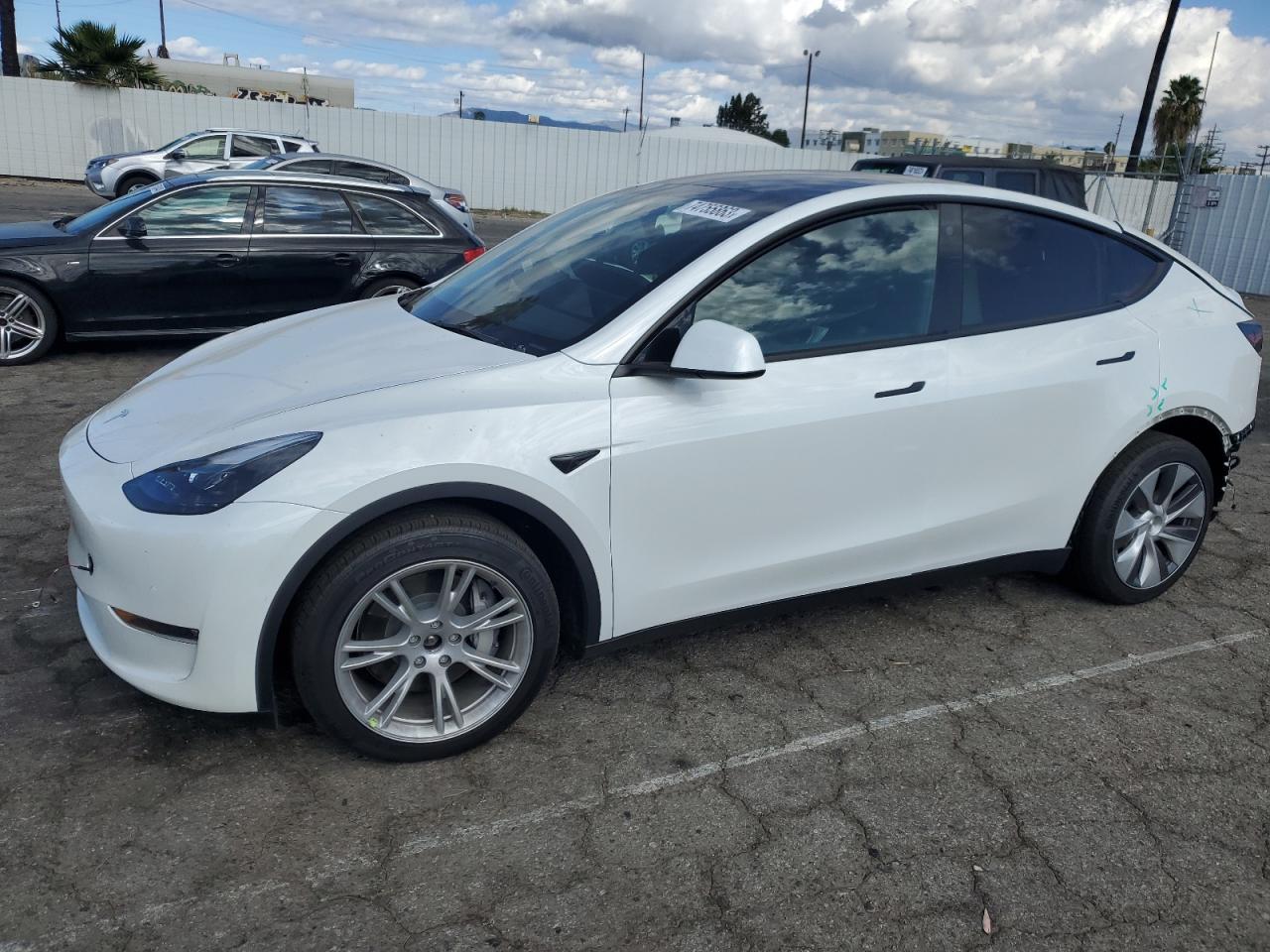 2022 TESLA MODEL Y  2022 image