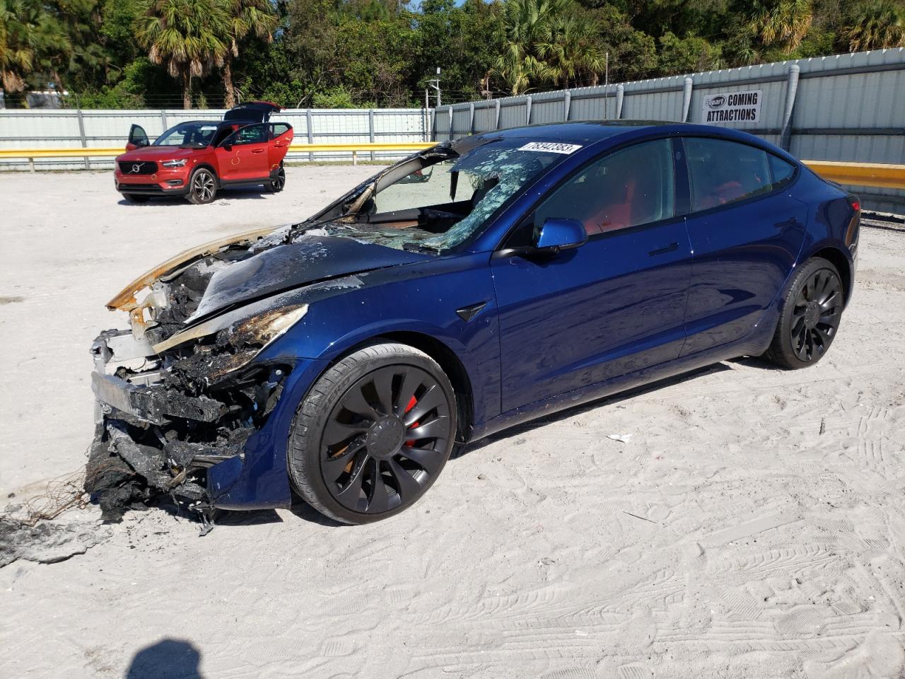 2023 TESLA MODEL 3  2023 image