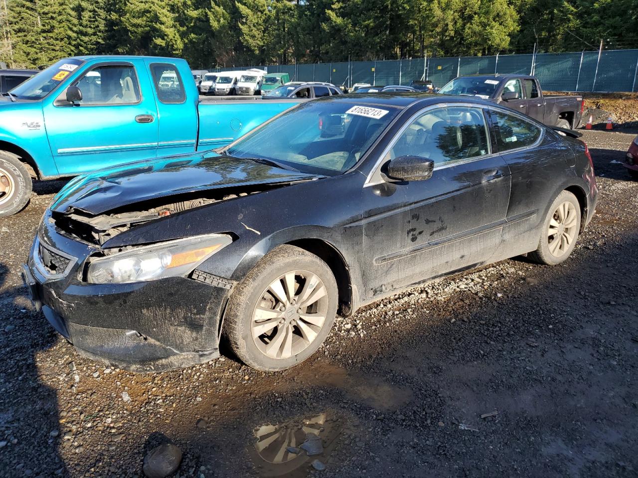 2008 HONDA ACCORD EXL 2008 image